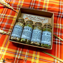 Load image into Gallery viewer, Mini Harvest Magick Apothecary: 4 Different Grains / Herbs | Lammas, Mabon, Samhain, Thanksgiving |