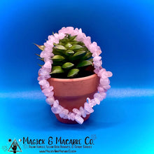 Load image into Gallery viewer, Rose Quartz Bracelet: Love, Calming & Emotional Healing