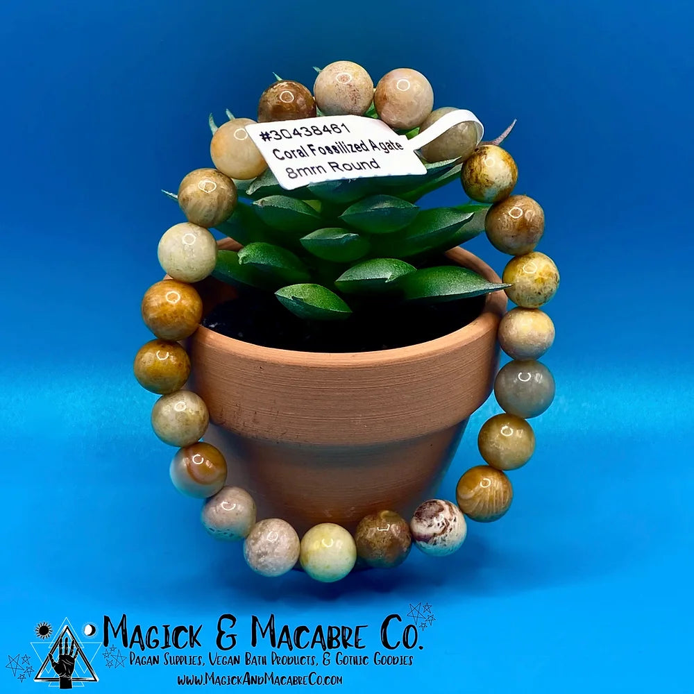 Fossilized Coral Bracelet: Sea Witchery, Love, & Calming