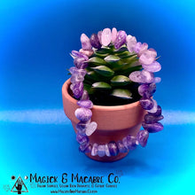 Load image into Gallery viewer, Amethyst Chip Bracelet: Psychic Abilities, Healing &amp; Meditation
